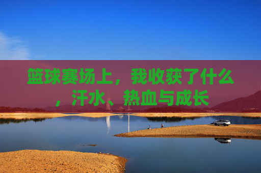 篮球赛场上，我收获了什么，汗水、热血与成长