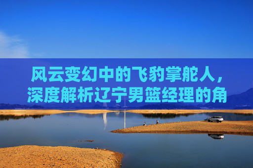 风云变幻中的飞豹掌舵人，深度解析辽宁男篮经理的角色与挑战