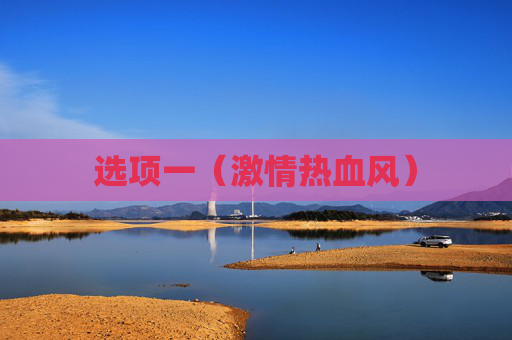 选项一（激情热血风）