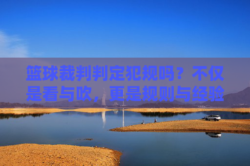 篮球裁判判定犯规吗？不仅是看与吹，更是规则与经验的博弈