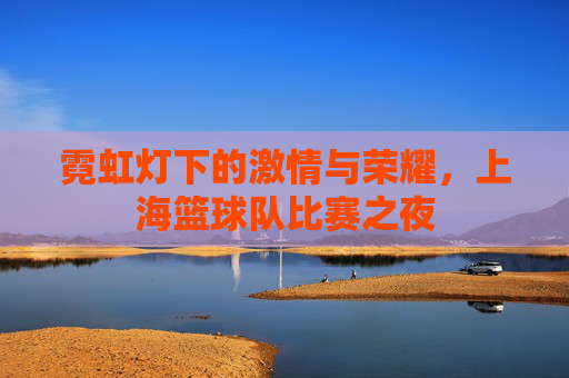霓虹灯下的激情与荣耀，上海篮球队比赛之夜