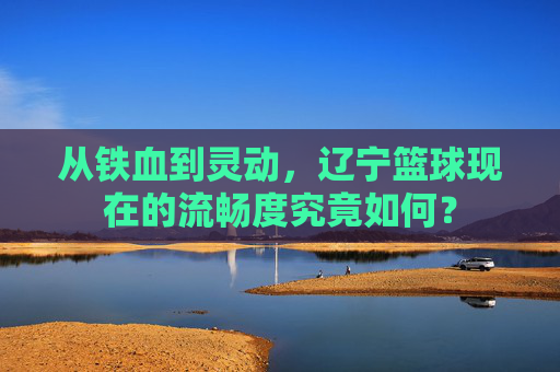 从铁血到灵动，辽宁篮球现在的流畅度究竟如何？