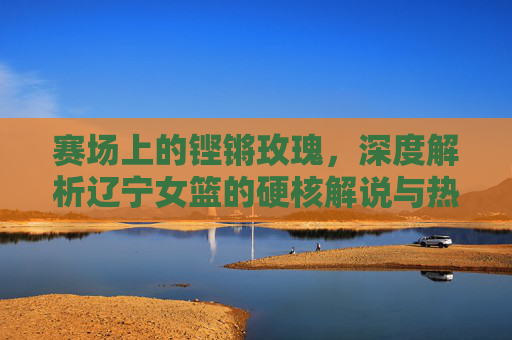 赛场上的铿锵玫瑰，深度解析辽宁女篮的硬核解说与热血征程