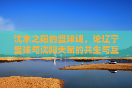 沈水之阳的篮球魂，论辽宁篮球与沈阳天赋的共生与互为表里