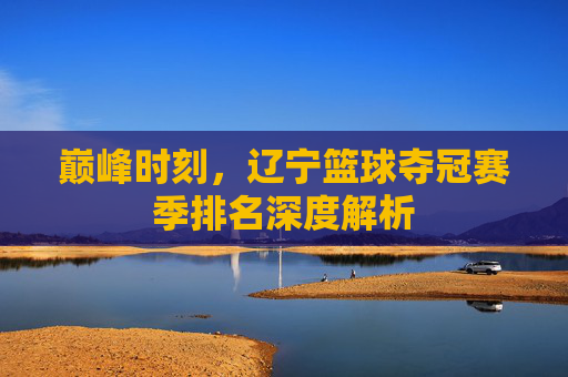 巅峰时刻，辽宁篮球夺冠赛季排名深度解析