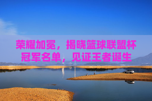 荣耀加冕，揭晓篮球联盟杯冠军名单，见证王者诞生