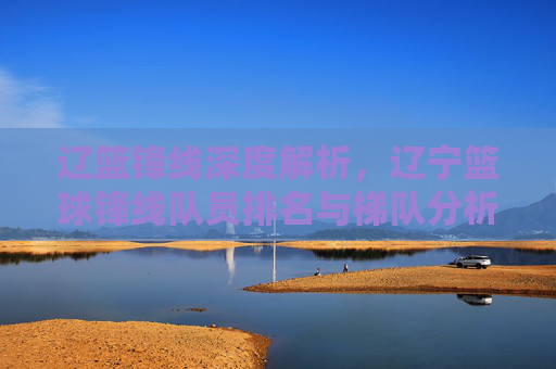 辽篮锋线深度解析，辽宁篮球锋线队员排名与梯队分析