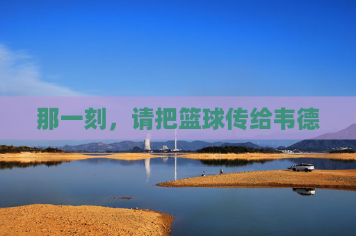 那一刻，请把篮球传给韦德