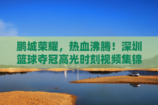 鹏城荣耀，热血沸腾！深圳篮球夺冠高光时刻视频集锦