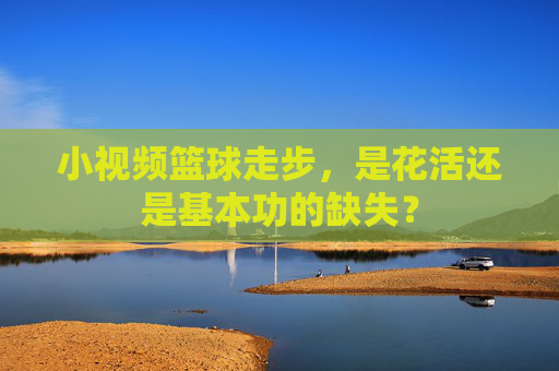 小视频篮球走步，是花活还是基本功的缺失？