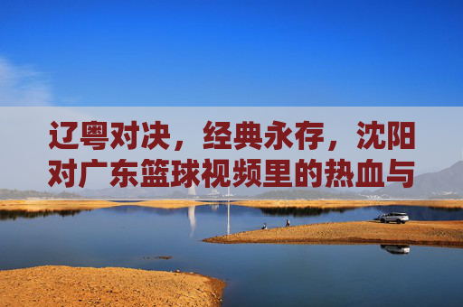 辽粤对决，经典永存，沈阳对广东篮球视频里的热血与传承