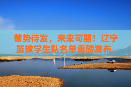 蓄势待发，未来可期！辽宁篮球学生队名单重磅发布，谁将接棒辽篮荣耀？