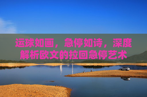 运球如画，急停如诗，深度解析欧文的拉回急停艺术