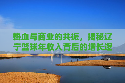 热血与商业的共振，揭秘辽宁篮球年收入背后的增长逻辑