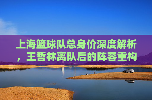 上海篮球队总身价深度解析，王哲林离队后的阵容重构与市场价值重塑
