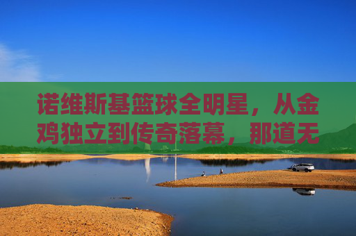 诺维斯基篮球全明星，从金鸡独立到传奇落幕，那道无法复制的金色弧线