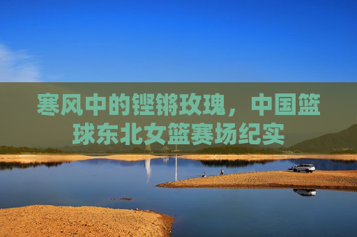 寒风中的铿锵玫瑰，中国篮球东北女篮赛场纪实