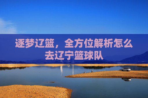 逐梦辽篮，全方位解析怎么去辽宁篮球队
