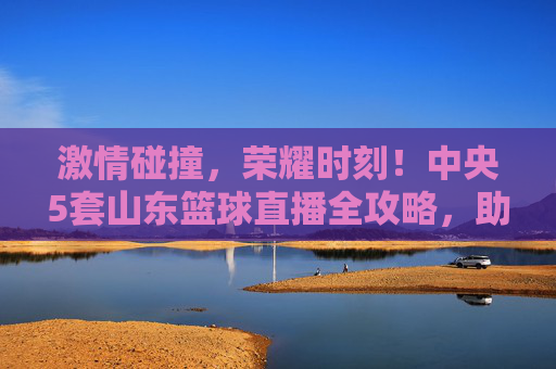 激情碰撞，荣耀时刻！中央5套山东篮球直播全攻略，助你见证冠军之路