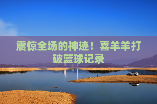 震惊全场的神迹！喜羊羊打破篮球记录