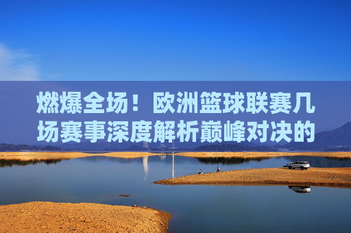 燃爆全场！欧洲篮球联赛几场赛事深度解析巅峰对决的战术与激情