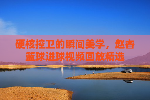 硬核控卫的瞬间美学，赵睿篮球进球视频回放精选