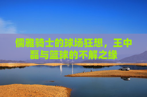 儒雅骑士的球场狂想，王中磊与篮球的不解之缘