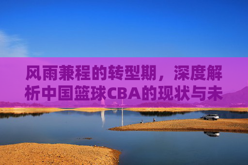 风雨兼程的转型期，深度解析中国篮球CBA的现状与未来