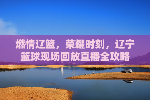 燃情辽篮，荣耀时刻，辽宁篮球现场回放直播全攻略