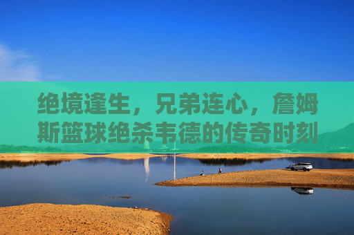 绝境逢生，兄弟连心，詹姆斯篮球绝杀韦德的传奇时刻