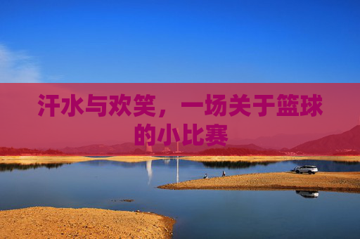 汗水与欢笑，一场关于篮球的小比赛