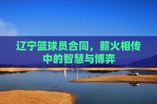 辽宁篮球员合同，薪火相传中的智慧与博弈
