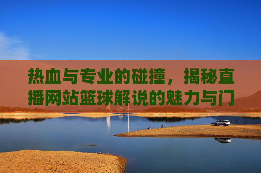 热血与专业的碰撞，揭秘直播网站篮球解说的魅力与门道