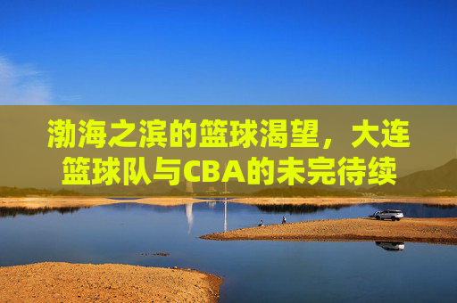 渤海之滨的篮球渴望，大连篮球队与CBA的未完待续