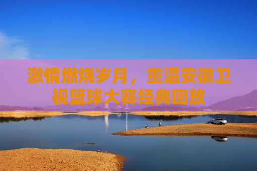 激情燃烧岁月，重温安徽卫视篮球大赛经典回放