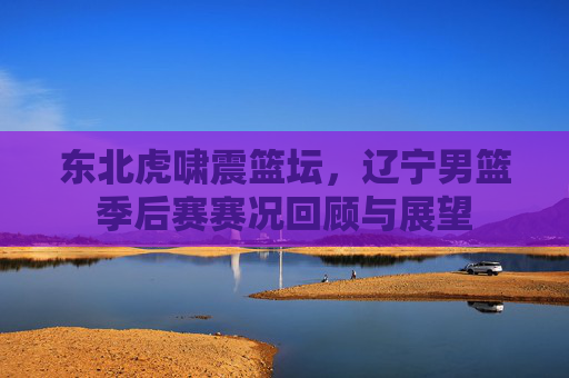 东北虎啸震篮坛，辽宁男篮季后赛赛况回顾与展望