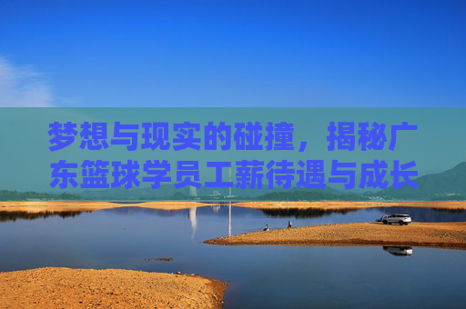 梦想与现实的碰撞，揭秘广东篮球学员工薪待遇与成长路径