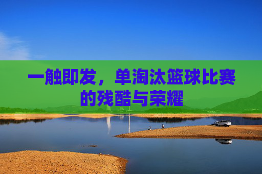 一触即发，单淘汰篮球比赛的残酷与荣耀