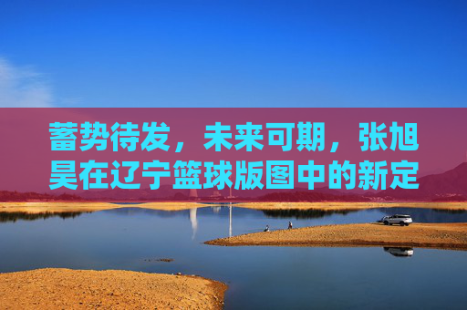 蓄势待发，未来可期，张旭昊在辽宁篮球版图中的新定位