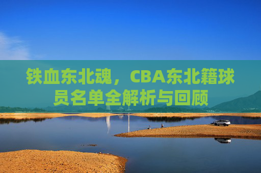 铁血东北魂，CBA东北籍球员名单全解析与回顾