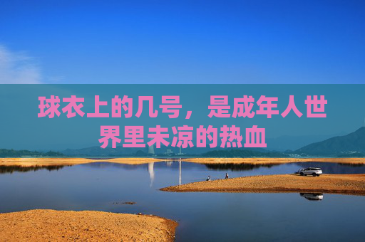 球衣上的几号，是成年人世界里未凉的热血