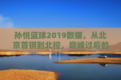 孙悦篮球2019数据，从北京首钢到北控，巅峰过后的数据反思