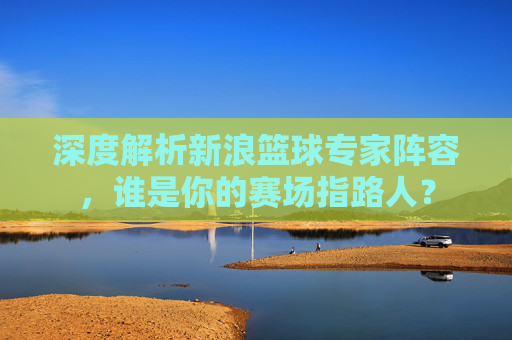 深度解析新浪篮球专家阵容，谁是你的赛场指路人？