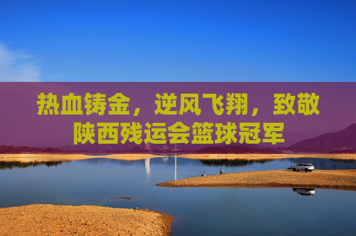 热血铸金，逆风飞翔，致敬陕西残运会篮球冠军