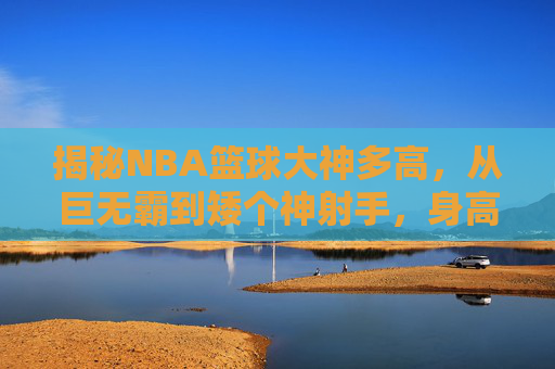 揭秘NBA篮球大神多高，从巨无霸到矮个神射手，身高决定上限吗？