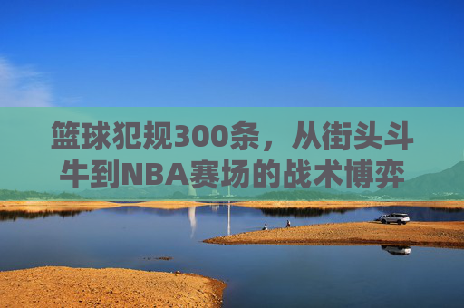 篮球犯规300条，从街头斗牛到NBA赛场的战术博弈