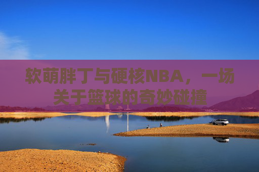 软萌胖丁与硬核NBA，一场关于篮球的奇妙碰撞