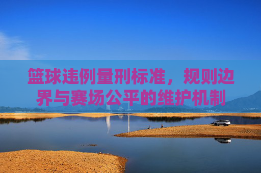 篮球违例量刑标准，规则边界与赛场公平的维护机制