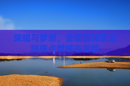 荣耀与梦想，全国篮球职业联赛点燃城市激情