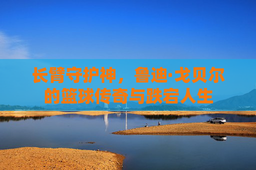 长臂守护神，鲁迪·戈贝尔的篮球传奇与跌宕人生